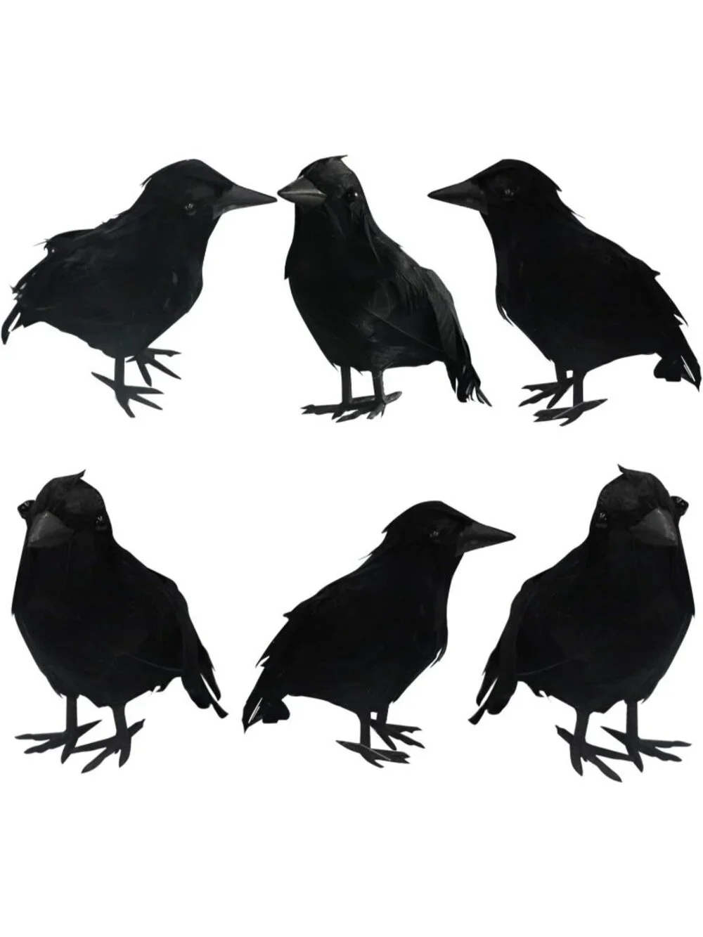 6 Pack Halloween Black Feathered Crows Lifelike Decoration Birds Real Feather